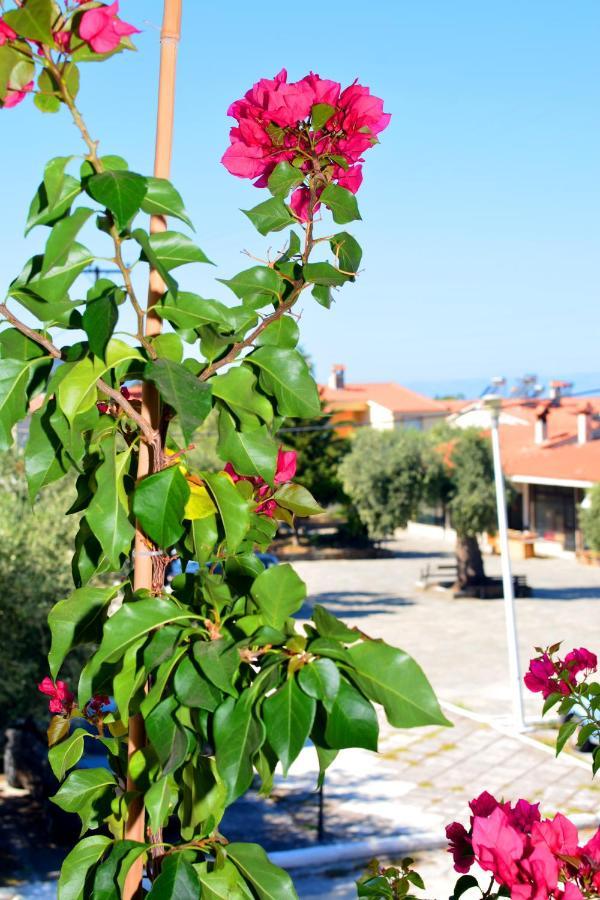 Blue North Luxury Apartment Limenas  Exterior foto
